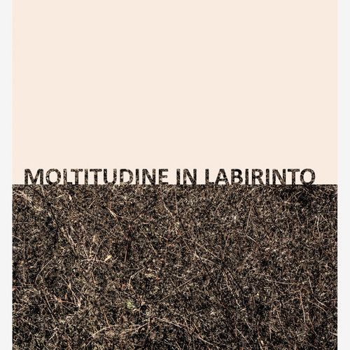 Moltitudine in Labirinto