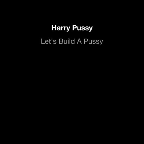 Let's Build A Pussy