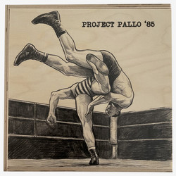 Project Pallo '85