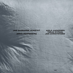 Afric Pepperbird