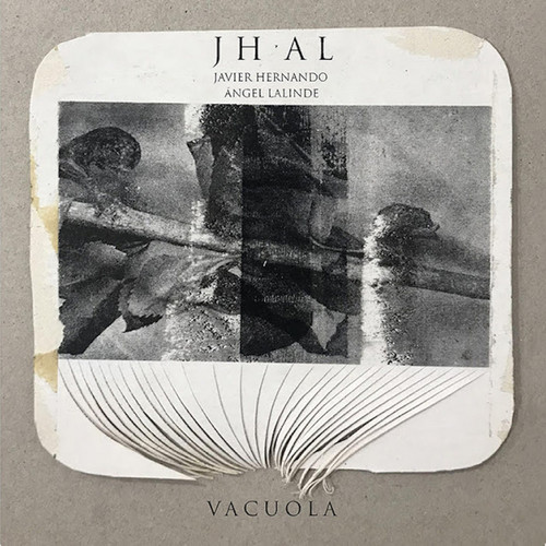 Vacuola