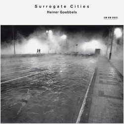 Surrogate Cities