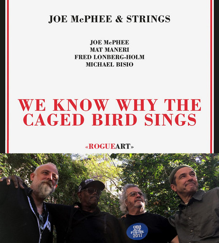 We Know Why The Caged Bird Sings