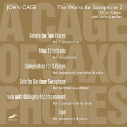 A Cage of saxophones 1