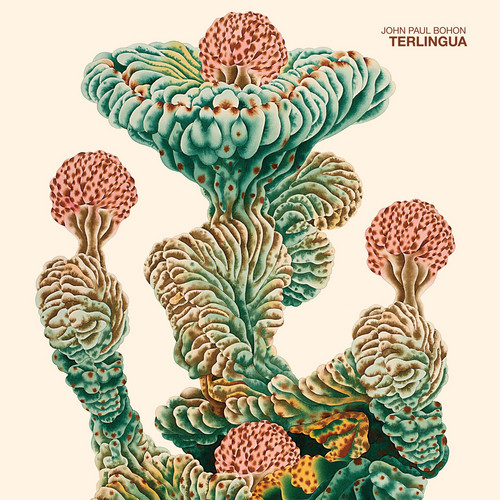  Terlingua
