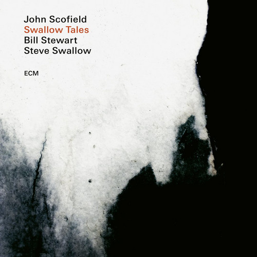 Swallow Tales