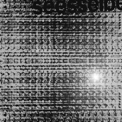 Synthetik 1
