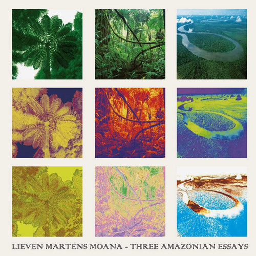 Three Amazonian Essays