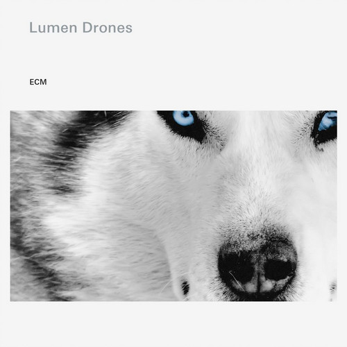 Lumen Drones