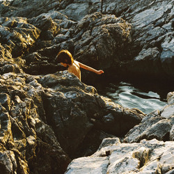  Sargassum aeterna 