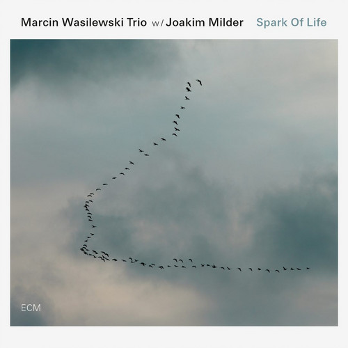 Spark Of Life
