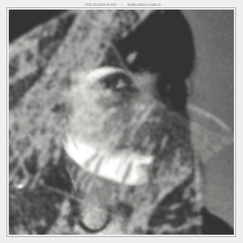 The Leaden Echo