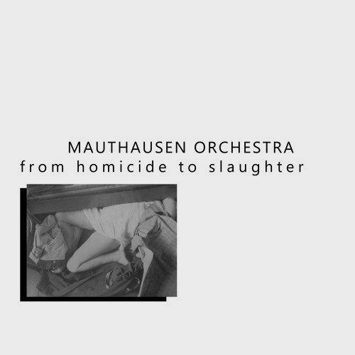 From Homicide To Slaughter