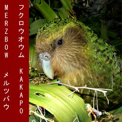 Kakapo