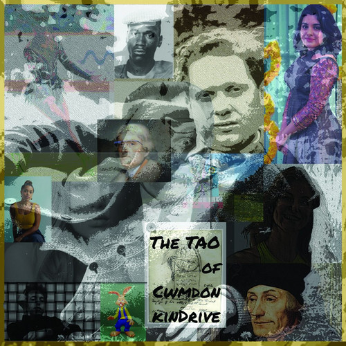 The Tao Of Cwmdonkin Drive