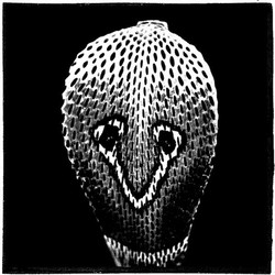 Sounds Of The Indian Snake Charmer Volume 2