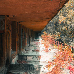 Turning Shadow Into Transient Beauty