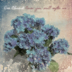 Cover You Will Soften Me