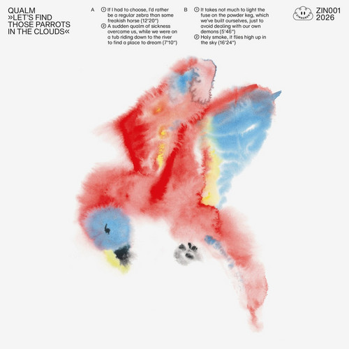 Let's Find Those Parrots In The Clouds