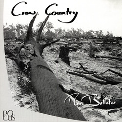 Crow Country