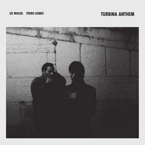 Turbina Anthem