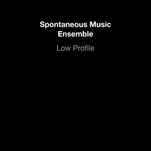 Low Profile