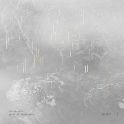 Paralell Landscapes