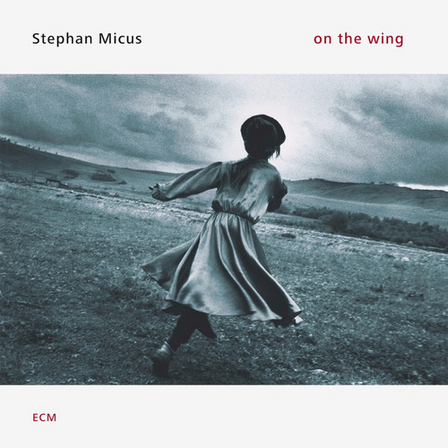 On the Wing