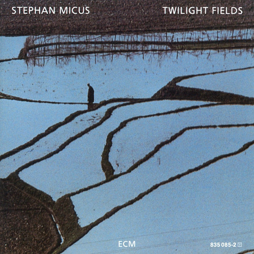 Twilight Fields (LP)