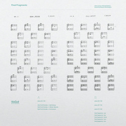 Final Fragments - Piano Music of David Kotlowy
