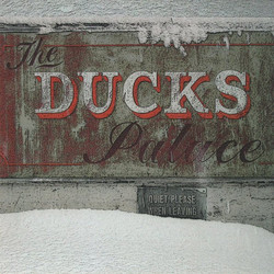 The Ducks Palace
