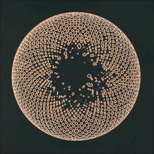 Organ Eye
