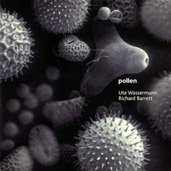 Pollen