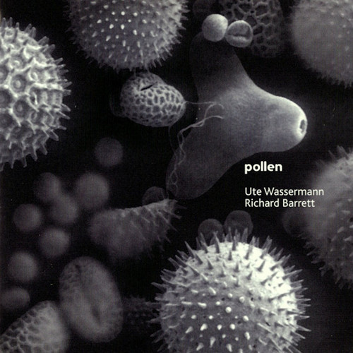 Pollen