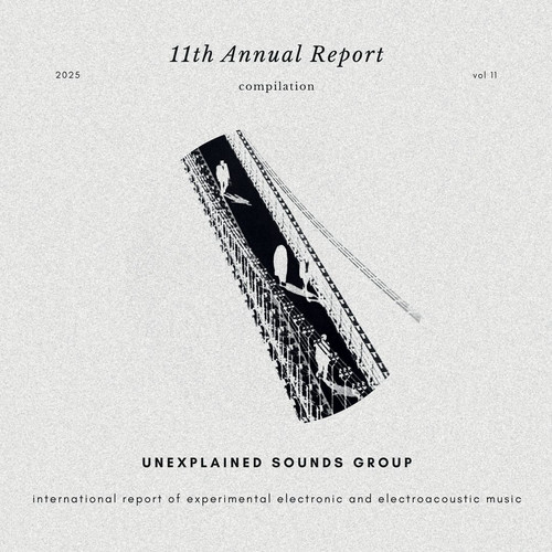  11th Annual Report 