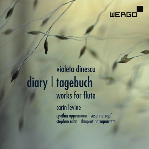 Diary; Tagebuch