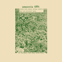 Amazonia 6891: Sounds From Jungle, Natural Objects, Echo ...