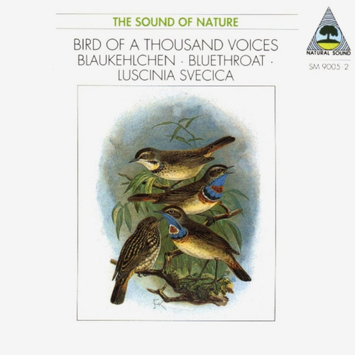 Blaukehlchen / Bluethroat / Luscinia Svenica - Bird of a Thousand Voices
