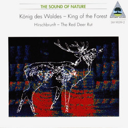 König des Waldes - Hirschbrunft