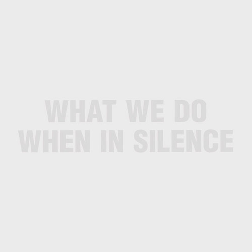 What We Do When in Silence