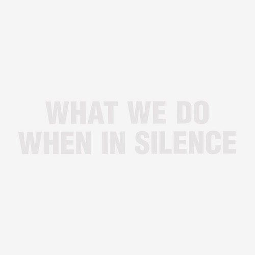 What We Do When in Silence