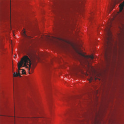 A Red Score In Tile
