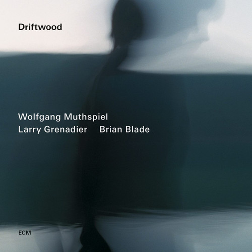 Driftwood
