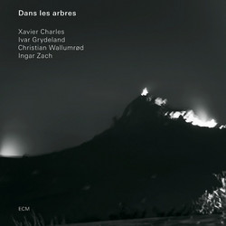 Dans les arbres