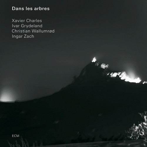 Dans les arbres